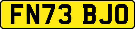 FN73BJO