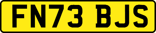 FN73BJS