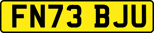 FN73BJU