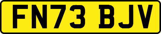 FN73BJV