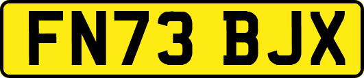 FN73BJX