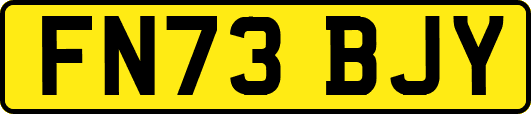 FN73BJY