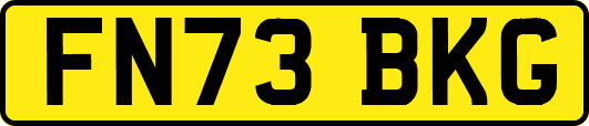 FN73BKG
