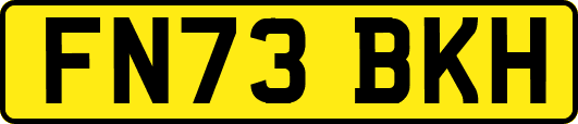 FN73BKH