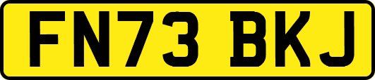 FN73BKJ