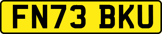 FN73BKU
