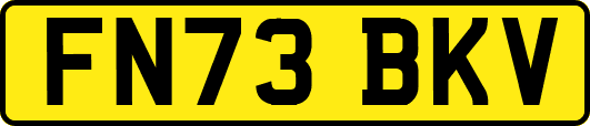 FN73BKV