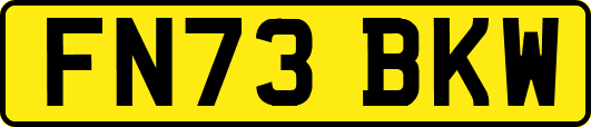 FN73BKW