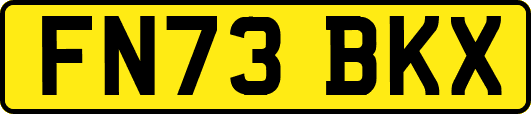 FN73BKX