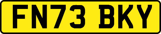 FN73BKY