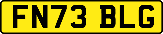 FN73BLG