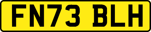 FN73BLH