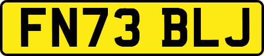 FN73BLJ