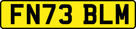 FN73BLM