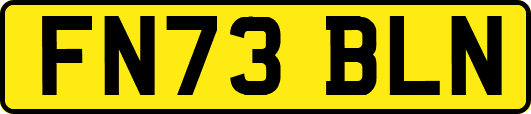 FN73BLN