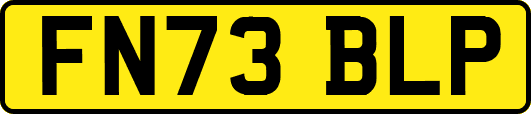 FN73BLP
