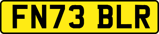 FN73BLR