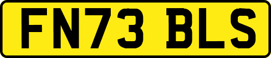 FN73BLS