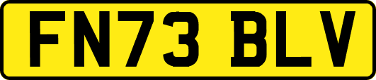 FN73BLV