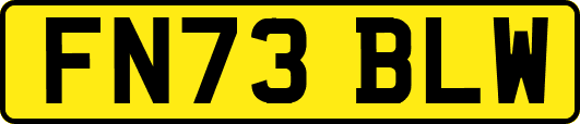 FN73BLW