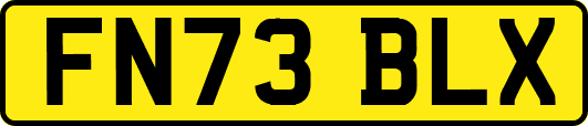 FN73BLX