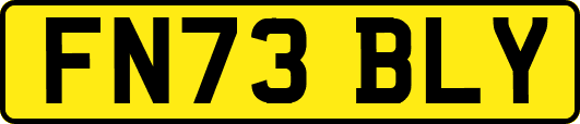 FN73BLY