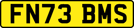 FN73BMS