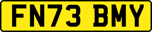 FN73BMY