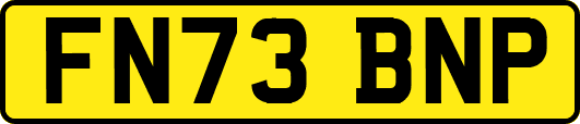 FN73BNP