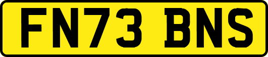 FN73BNS