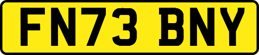 FN73BNY