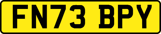 FN73BPY
