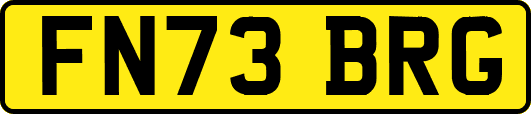 FN73BRG