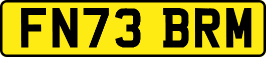 FN73BRM