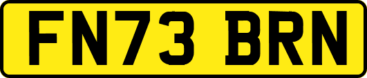 FN73BRN
