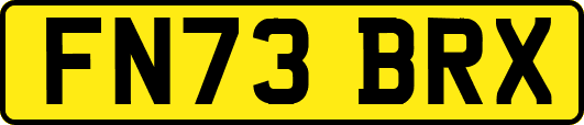 FN73BRX