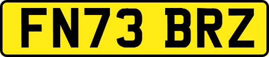 FN73BRZ