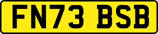FN73BSB
