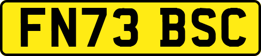 FN73BSC