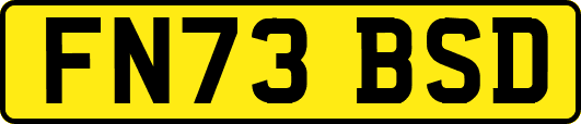 FN73BSD