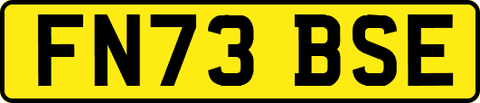 FN73BSE