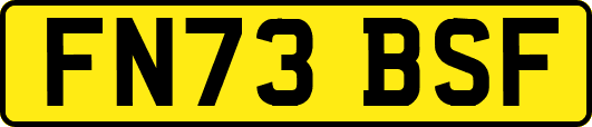 FN73BSF