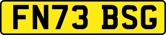 FN73BSG
