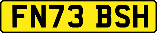FN73BSH