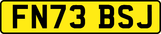 FN73BSJ