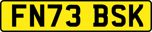 FN73BSK