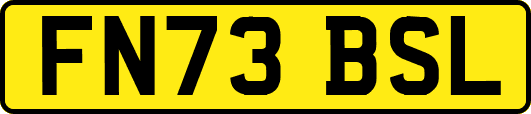FN73BSL