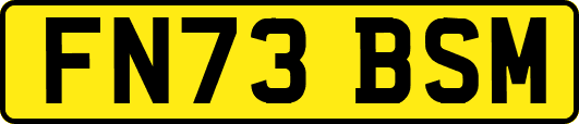 FN73BSM