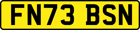 FN73BSN