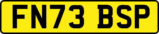 FN73BSP